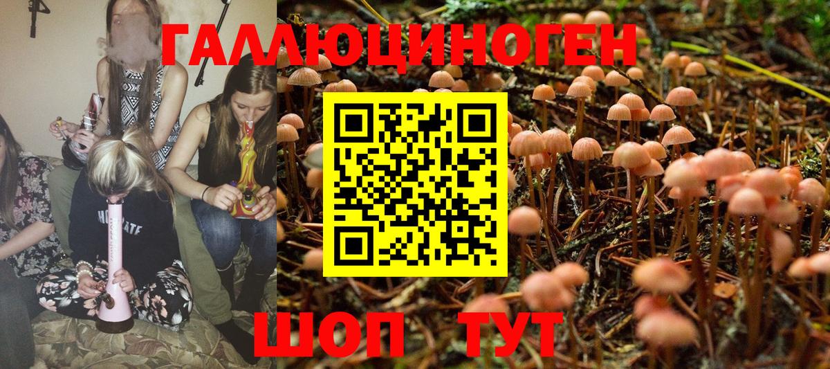 Галлюциногенные грибы Cubensis Кольчугино