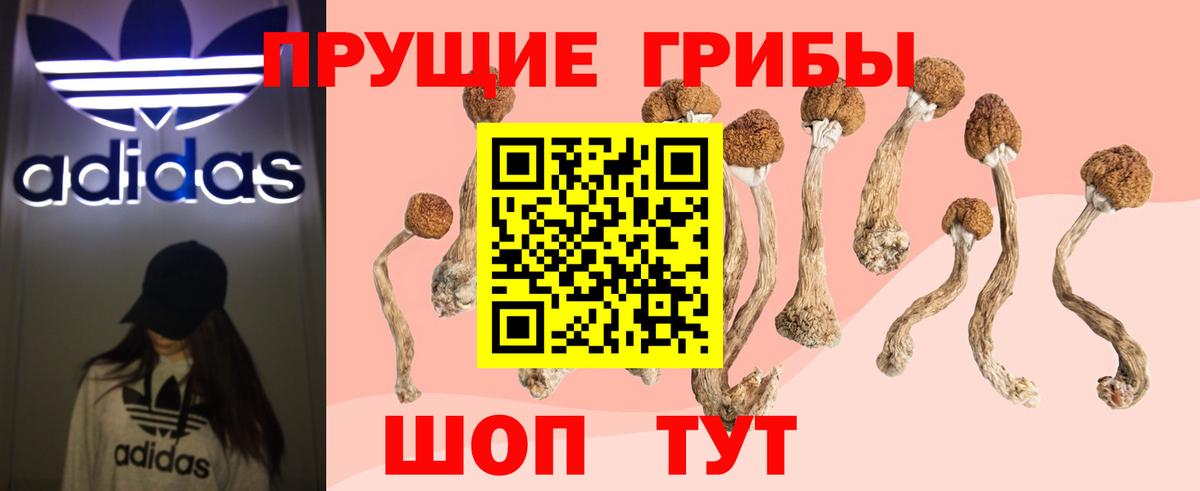 Кольчугино  Галлюциногенные грибы ЛСД  Псилоцибиновые грибы Psilocybine cubensis  Вход с VPN 